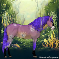 Horse Color:Watercolor White Spotted Bay Dun Splash 