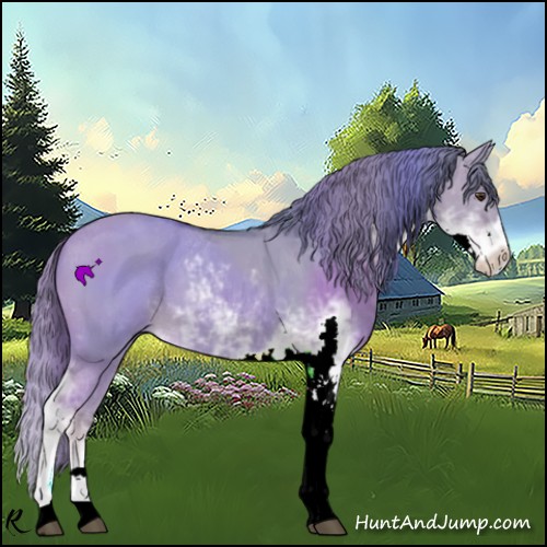 Horse Color:Watercolor Red Dun Sabino 