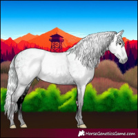 Horse Color:Gray Watercolor Silver Brown Dun Sabino 