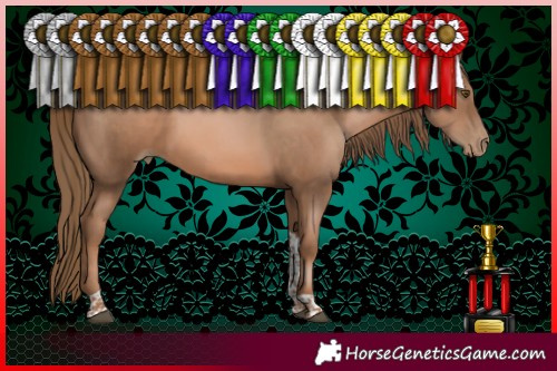 Horse Color:Liver Chestnut Pearl Tobiano 