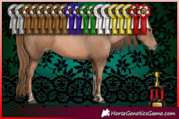 Horse Color:Liver Chestnut Pearl Tobiano