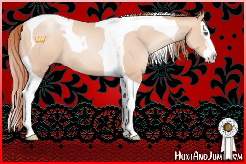 Horse Color:Sable Champagne Pearl Splash Tobiano Rabicano 