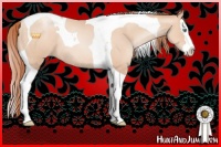 Horse Color:Sable Champagne Pearl Splash Tobiano Rabicano