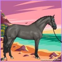 Horse Color:Grullo 