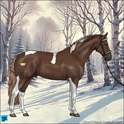 Horse Color:Liver Chestnut Tobiano 