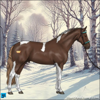 Horse Color:Liver Chestnut Tobiano 