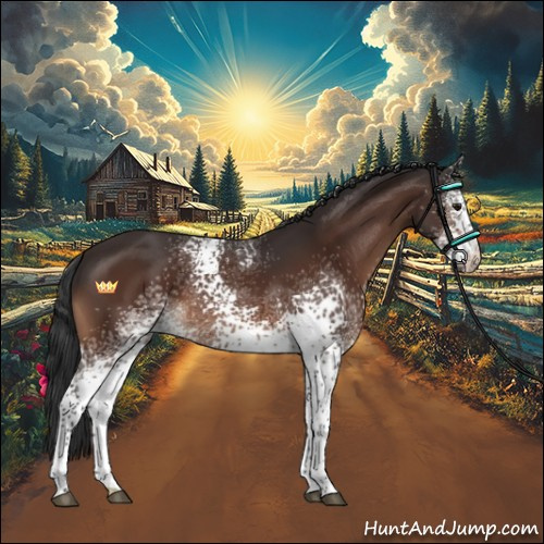 Horse Color:White Spotted Brown 