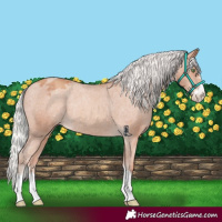 Horse Color:Silver Sable Champagne Varnish Rabicano 