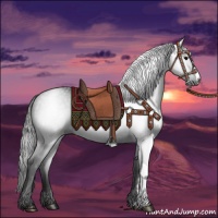 Horse Color:Gray Black 