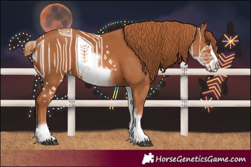 Horse Color:White Spotted Chestnut Frame 