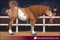 Horse Color:White Spotted Chestnut Frame 