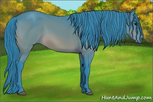Horse Color:Watercolor Bay