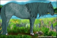 Horse Color:Watercolor Black 