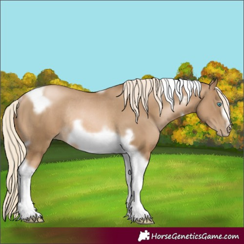Horse Color:Chocolate Palomino Pearl Tobiano Frame Rabicano 