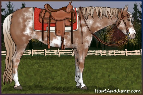 Horse Color:White Spotted Chestnut Sabino Frame 