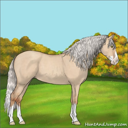 Horse Color:Silver Classic Champagne Roan Dun Splash 