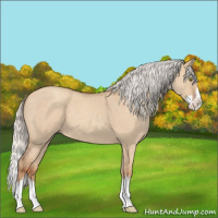 Horse Color:Silver Classic Champagne Roan Dun Splash