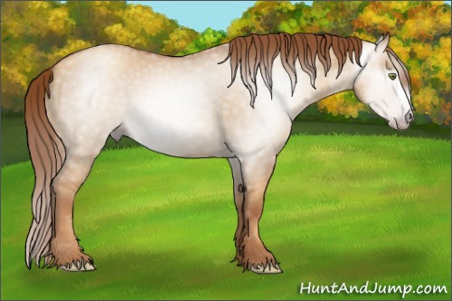 Horse Color:Gray Gold Champagne Dun 