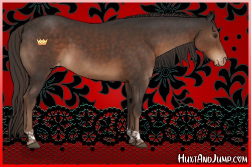 Horse Color:Liver Chestnut Tobiano Varnish 