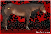 Horse Color:Liver Chestnut Tobiano Varnish 