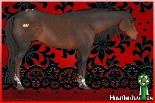 Horse Color:Liver Chestnut Tobiano 