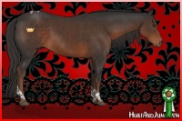 Horse Color:Liver Chestnut Tobiano 