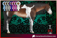 Horse Color:Brown Sabino Tobiano 