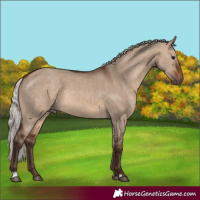 Horse Color:Silver Brown Dun