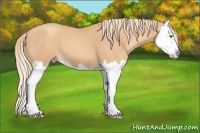 Horse Color:Gold Champagne Splash