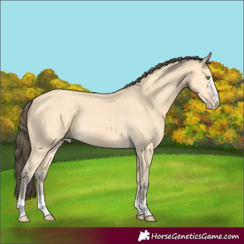 Horse Color:Amber Cream Champagne 
