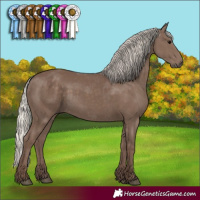 Horse Color:Silver Black 