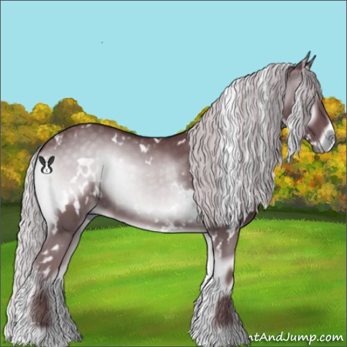 Horse Color:White Spotted Chocolate Silver Blue Onyx Chinchilla 