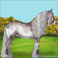 Horse Color:White Spotted Chocolate Silver Blue Onyx Chinchilla 