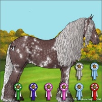 Horse Color:White Spotted Chocolate Silver Black Chinchilla 