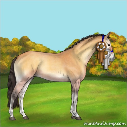 Horse Color:Buckskin Roan Onyx 