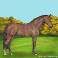 Horse Color:Nacre Bay 