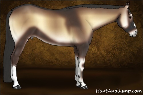 Horse Color:Liver Red Onyx 