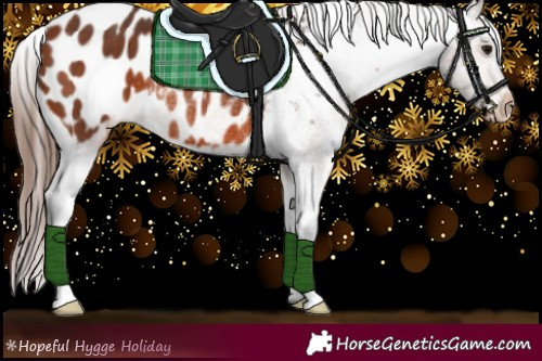 Horse Color:Bay Appaloosa Rabicano 