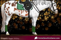 Horse Color:Bay Appaloosa Rabicano 