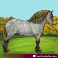 Horse Color:Blue Ice Roan Pearl 