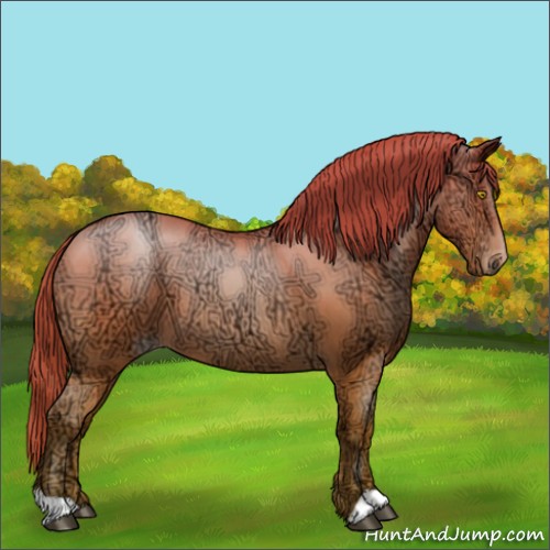 Horse Color:Bay Ice Roan Pearl 