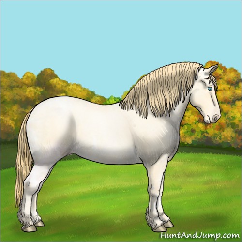 Horse Color:Buckskin Ice Roan Pearl 