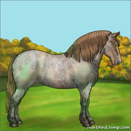 Horse Color:Bay Ice Roan Pearl 