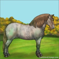 Horse Color:Bay Ice Roan Pearl 