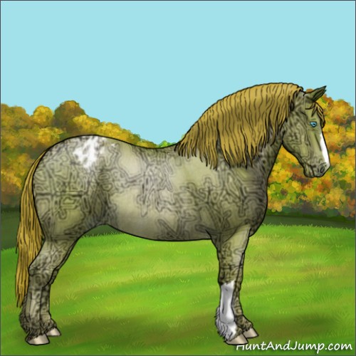 Horse Color:Buckskin Ice Roan Pearl Appaloosa Rabicano 