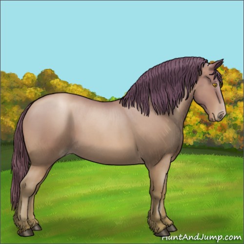 Horse Color:Bay Roan Pearl 