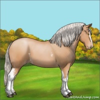 Horse Color:White Spotted Silver Bay Pearl 