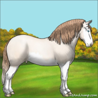 Horse Color:Gold Champagne Pearl Dun Splash