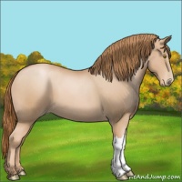 Horse Color:Chestnut Pearl