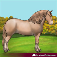 Horse Color:Chestnut Pearl 
